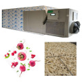 Industrial Lemon Fruit Vegetable Food Dehydrator Dry fruit Processing Machines